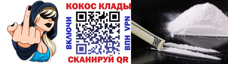 OMG сайт  Каменногорск  COCAIN Fish Scale  где купить наркоту 
