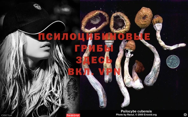 соль курить ск Верхний Тагил